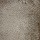 Stanton Carpet: Shaggy Swag Grain